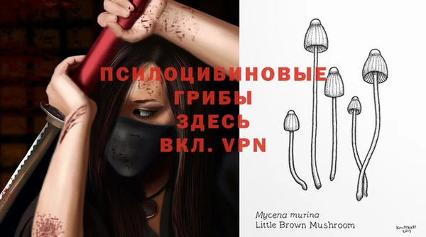МДПВ Кинешма