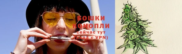 ПСИЛОЦИБИНОВЫЕ ГРИБЫ Карталы