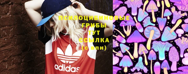 МДПВ Кинешма