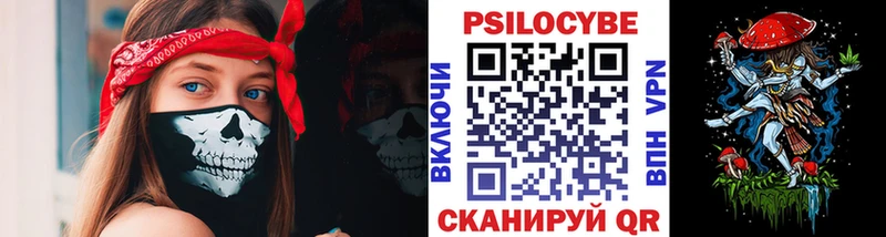 Купить закладки  Ковдор  Галлюциногенные грибы Psilocybe 